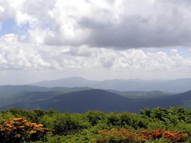 Picture 32 of Elk Knob Hike 061415