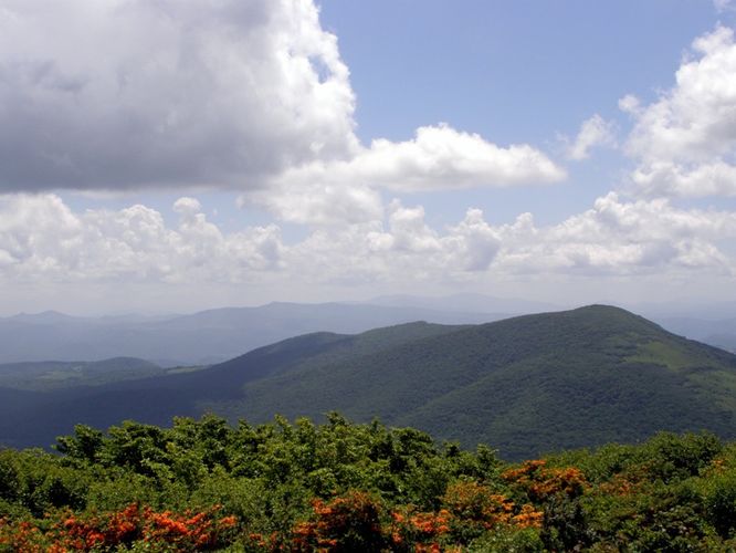 Picture 33 of Elk Knob Hike 061415