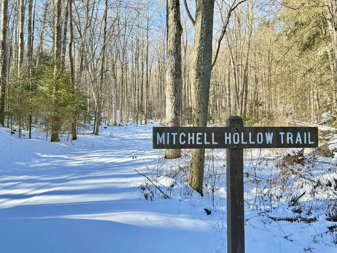 Trailhead at Mitchell Hollow Trail