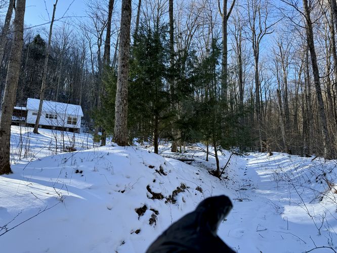Keep right to stay on Mitchell Hollow Trail
