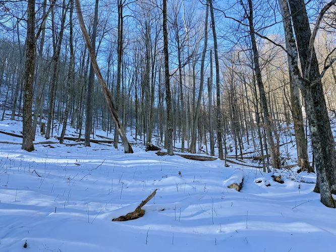 Hard to locate the trail