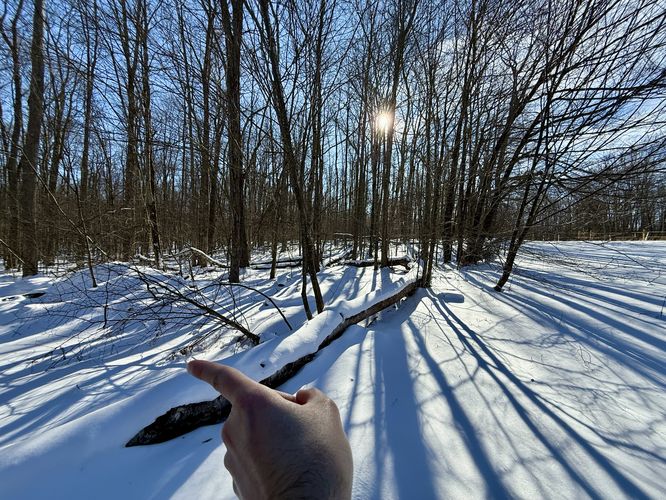 Left-hand turn to the woods to head to Water Trough Hollow Trail