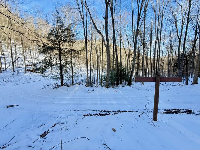 Junction with Cedar Mountain Road at Water Trough Hollow Trail