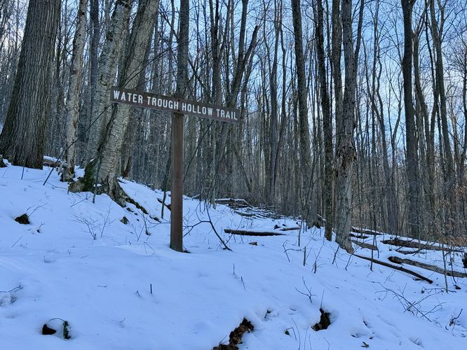 Water Trough Hollow Trail trailhead