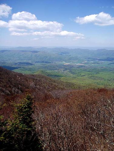Picture 2 of Elliott Knob Hike 050606