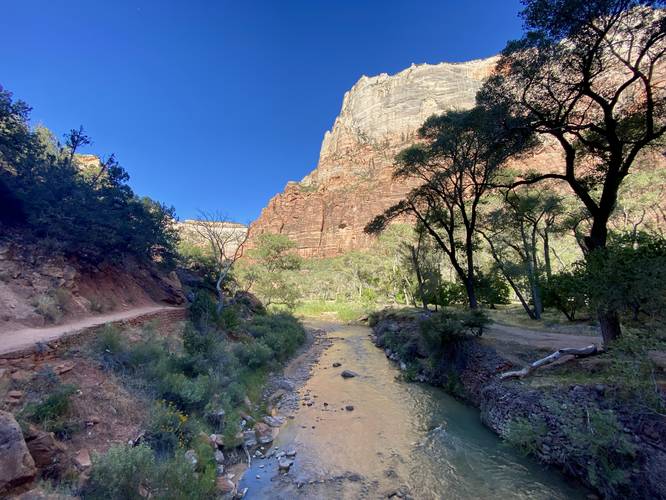 View of the Virgin River in Zion National Park