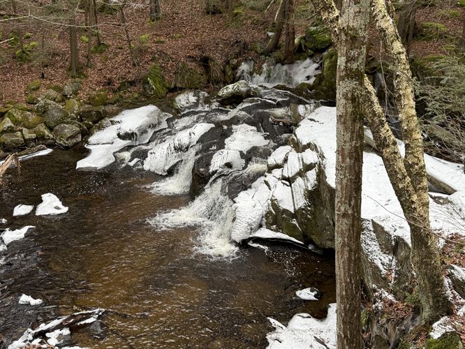 Picture 4 of Enders Falls Trail