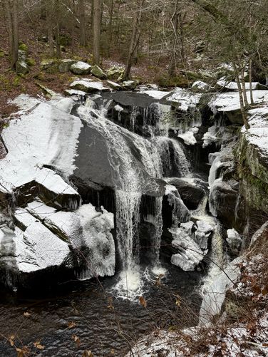 Picture 12 of Enders Falls Trail