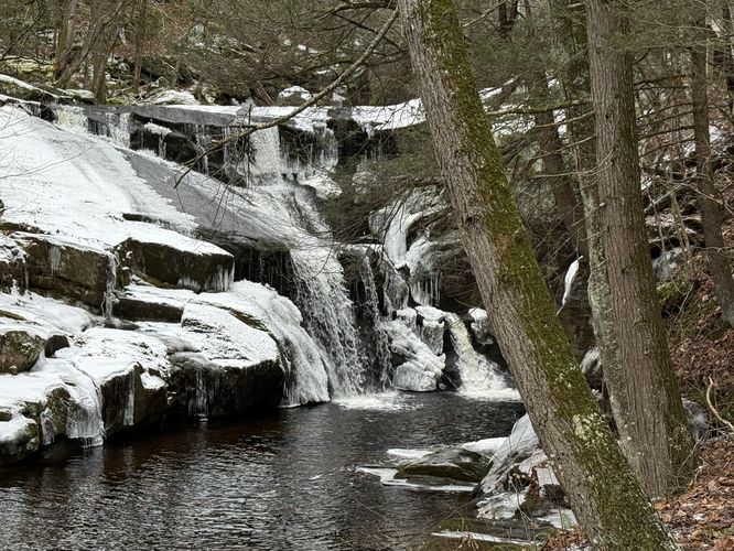 Picture 13 of Enders Falls Trail
