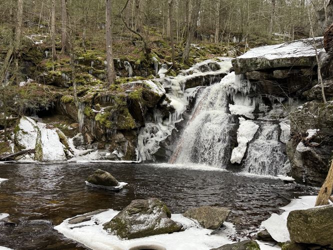 Picture 16 of Enders Falls Trail