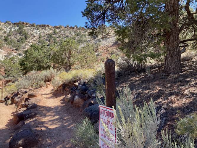 Petrified Forest Trail trailhead