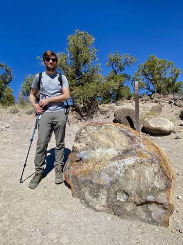 Massive cross-cut of petrified wood with human for scale