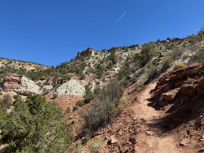 Trail ascends the hills to reach the Petrified Forest