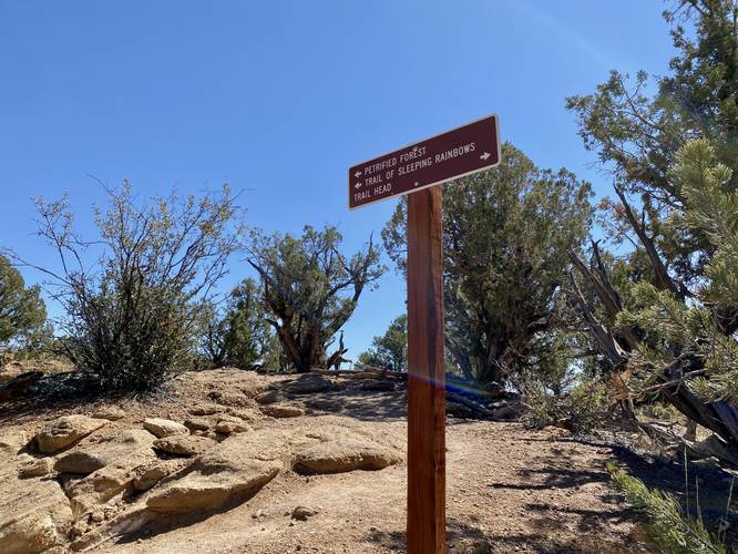 Petrified Forest Loop junction