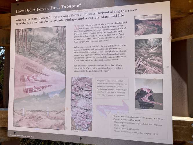 Petrified Forest "How Did a Forest Turn to Stone?" information kiosk