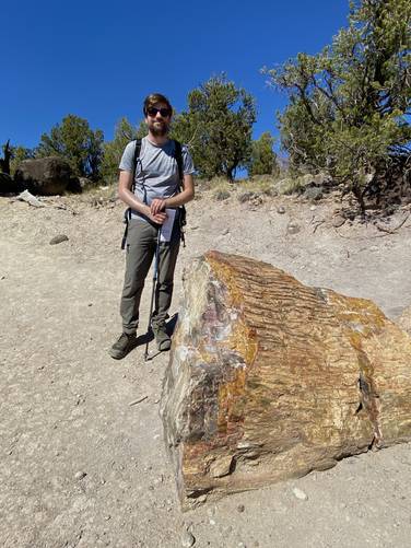 Massive cross-cut of petrified wood with human for scale