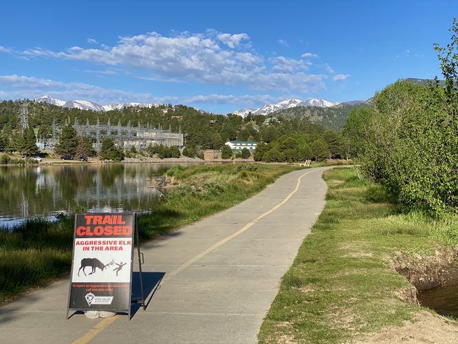 Trail closed - aggressive elk