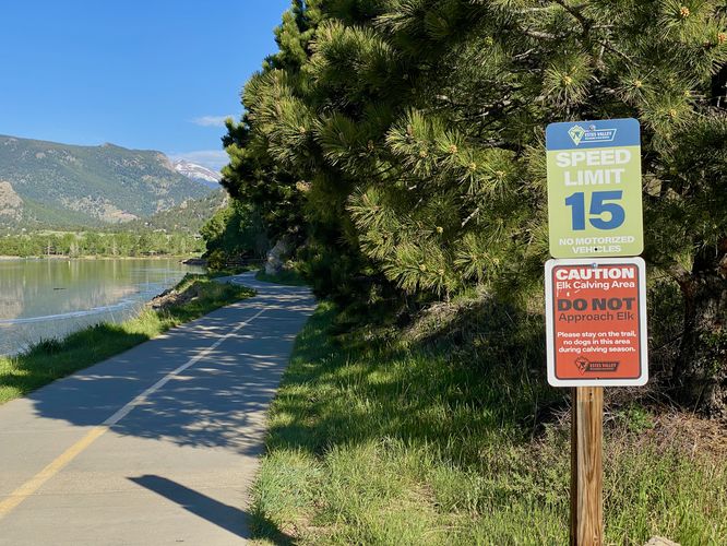 No dogs during elk calving season