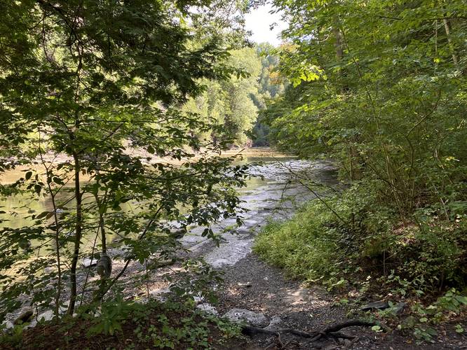 Trail leads to Canajoharie Creek
