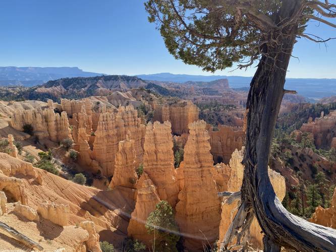 View into Bryce Canyon's Fairyland Canyon