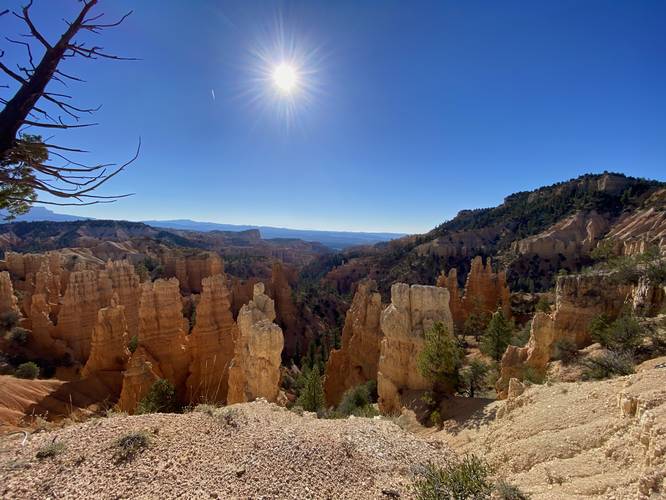 View into Bryce Canyon's Fairyland Canyon