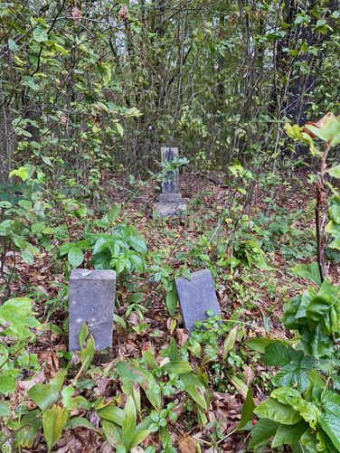Graves being reclaimed by the forest at Fall Brook Cemetery