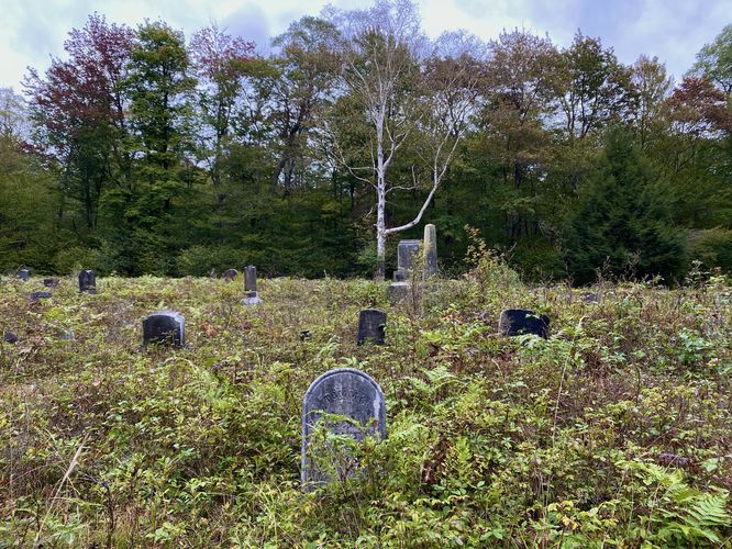 Headstones slowly shrink into the overgrowth at Fall Brook Cemetery