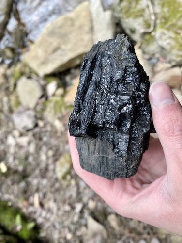 Chunk of coal