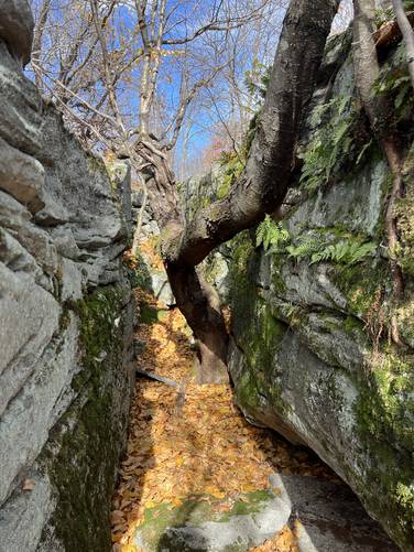 Big Rocks Loop - Fall Quarry Trail Loop album