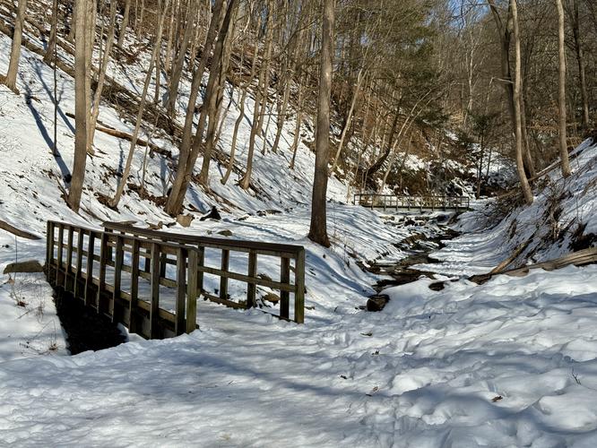 Picture 4 of Fall Run Waterfall Feb 14 2026