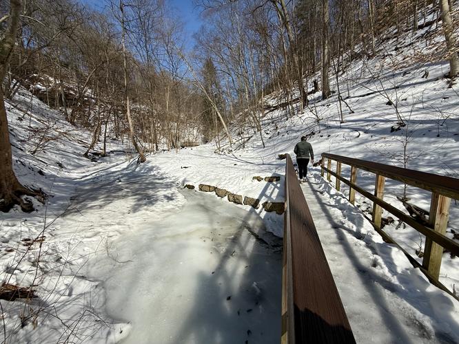 Picture 5 of Fall Run Waterfall Feb 14 2026