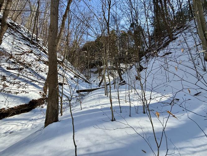 Picture 8 of Fall Run Waterfall Feb 14 2026