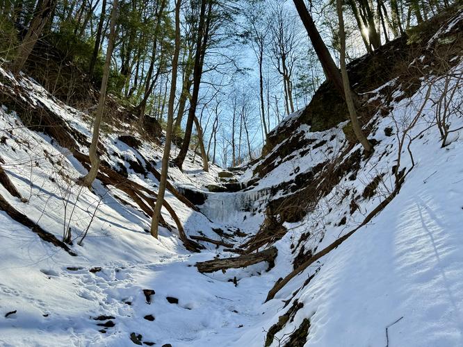 Picture 9 of Fall Run Waterfall Feb 14 2026