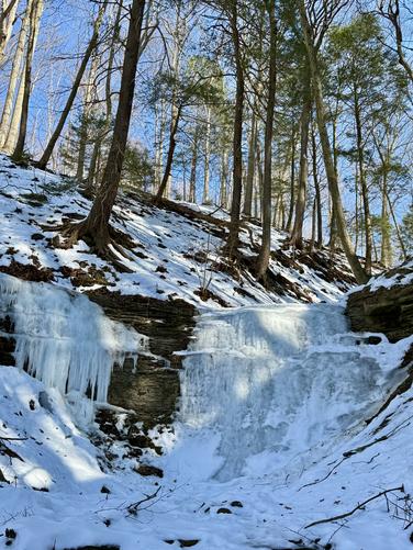 Picture 13 of Fall Run Waterfall Feb 14 2026