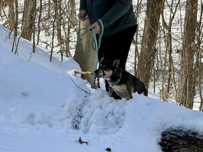 Picture 14 of Fall Run Waterfall Feb 14 2026