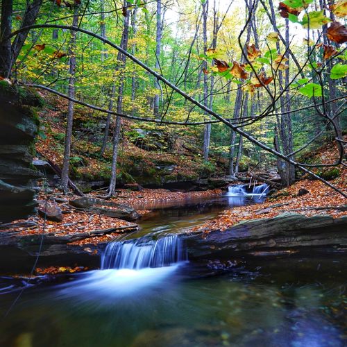 Picture 1 of Fall splendor on Daves waterfall paradise 
