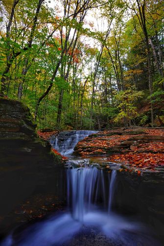 Picture 2 of Fall splendor on Daves waterfall paradise 