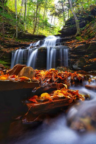 Picture 5 of Fall splendor on Daves waterfall paradise 