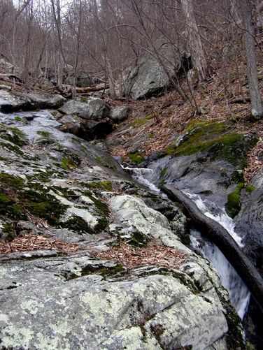 Picture 19 of Fallingwater Cascades and Flat Top Mountain 032215