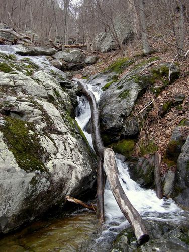 Picture 20 of Fallingwater Cascades and Flat Top Mountain 032215
