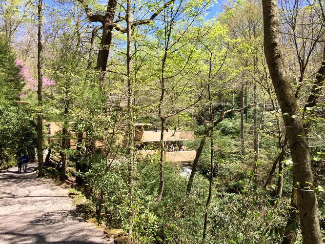 Picture 8 of Fallingwater Loop Trail