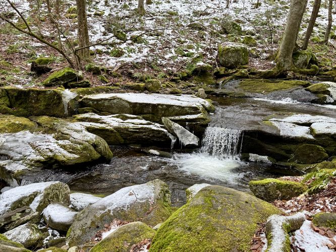 Tiny cascade in Falls Brook