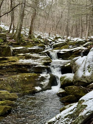Picture 6 of Falls Brook Falls