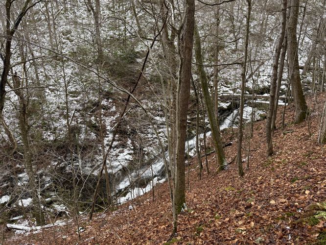 Hillside leads down to Falls Brook Falls