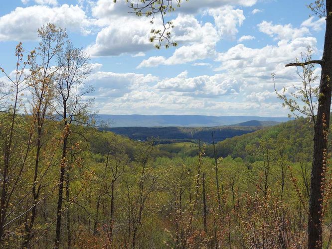 Default image for Falls Ridge Hike, a 6.3-mile trail in Shenandoah County, VA (US)