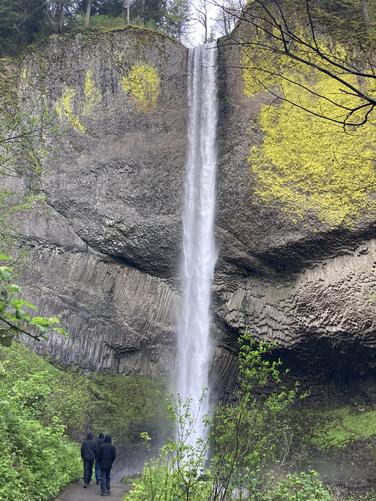 Picture 24 of Fam fun 