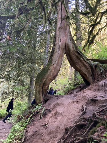 Picture 20 of Fam fun 