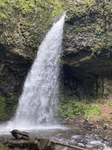 Picture 16 of Fam fun 