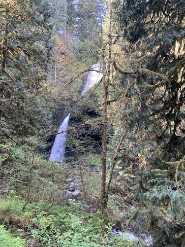 Picture 14 of Fam fun 