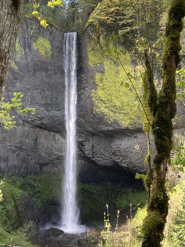 Picture 13 of Fam fun 